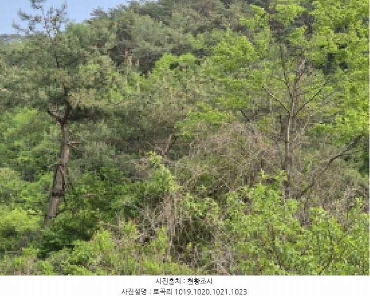 2025타경10228 경상북도 영양군 청기면 토곡리 1021 농지 경매 이미지