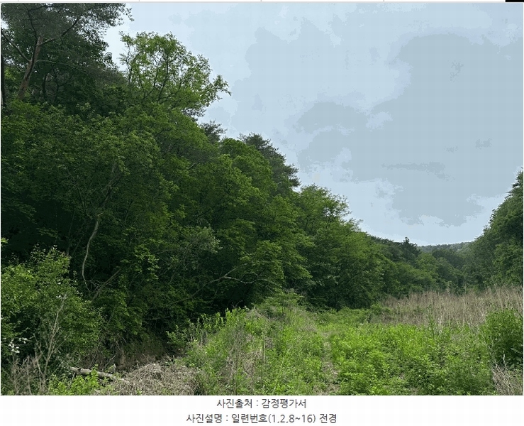 2025타경10228 경상북도 영양군 청기면 토곡리 1019 임야 경매 이미지