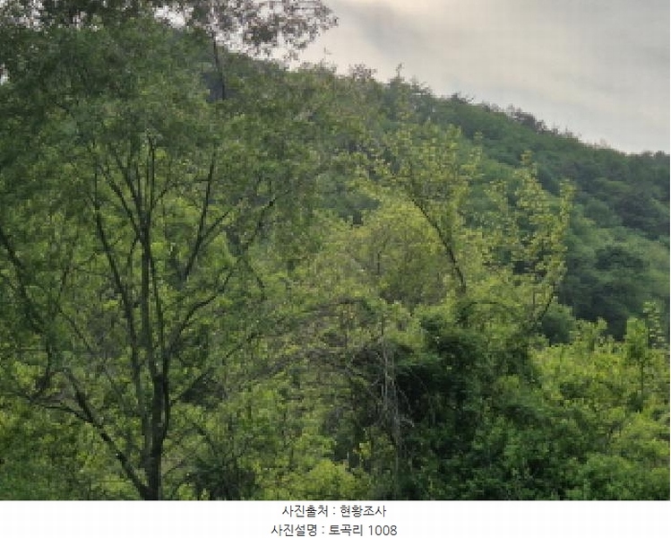 2025타경10228 경상북도 영양군 청기면 토곡리 1008 농지 경매 이미지