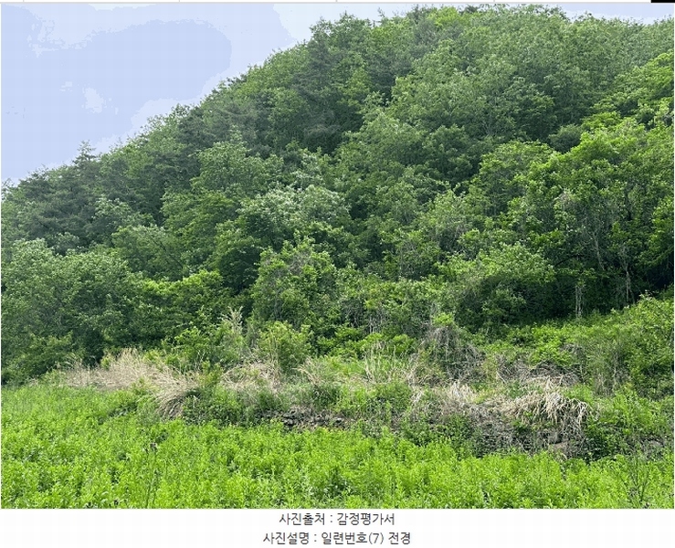 2025타경10228 경상북도 영양군 청기면 토곡리 1008 농지 경매 이미지