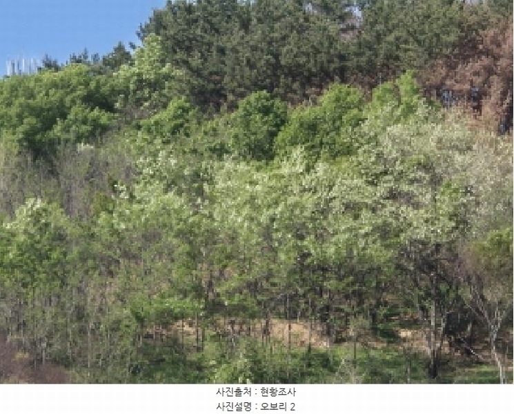 2025타경10227 경상북도 영덕군 영덕읍 오보리 2 농지 경매 이미지