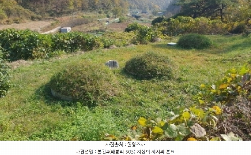 2024타경106316 경상남도 창원시 마산합포구 진동면 태봉리 603 농지 경매 이미지