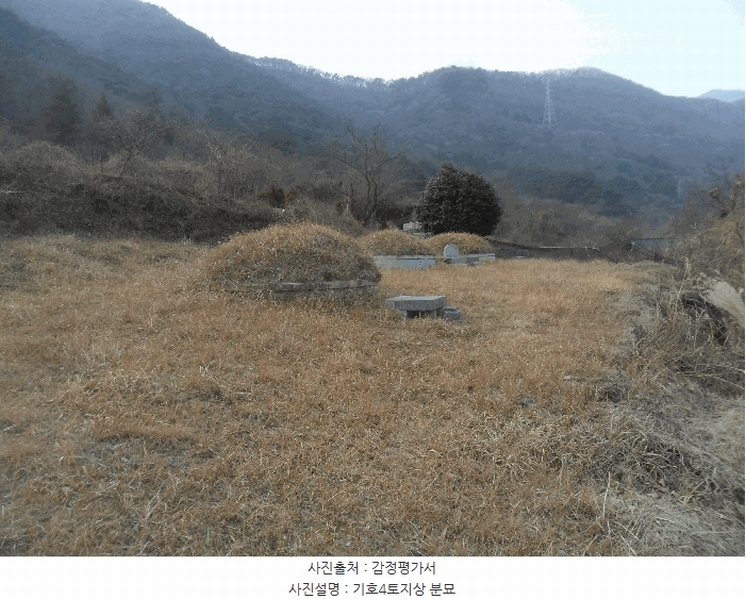 2024타경106316 경상남도 창원시 마산합포구 진동면 태봉리 603 농지 경매 이미지