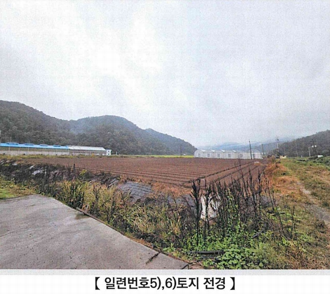 2025타경304 경상남도 함안군 대산면 장암리 449-1 농지 경매 이미지