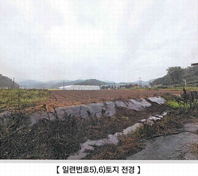 2025타경304 경상남도 함안군 대산면 장암리 449 농지 경매 이미지