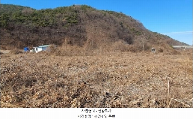 2025타경21068 경상남도 창원시 마산합포구 진북면 신촌리 480-1 임야 경매 이미지