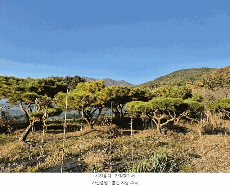 2025타경3477 대구광역시 달성군 가창면 행정리 883-6 과수원 경매 이미지