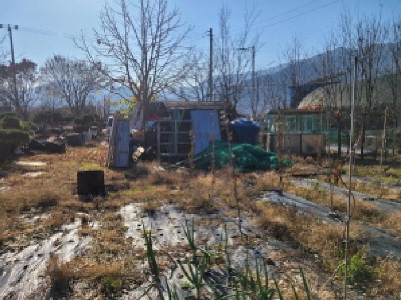 2025타경3477 대구광역시 달성군 가창면 행정리 883-6 과수원 경매 이미지