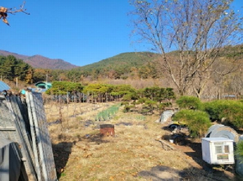 2025타경3477 대구광역시 달성군 가창면 행정리 883-6 과수원 경매 이미지
