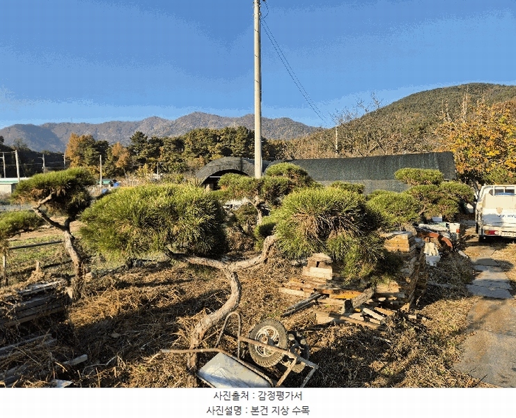 2025타경3477 대구광역시 달성군 가창면 행정리 883-5 과수원 경매 이미지