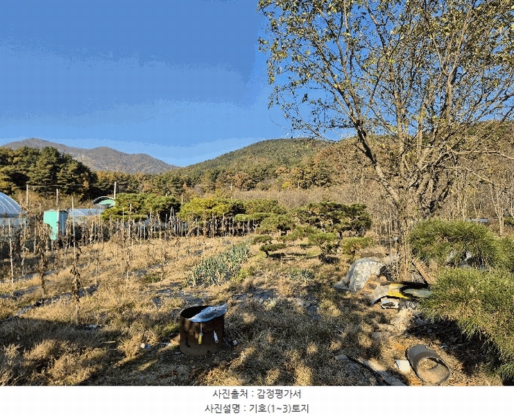 2025타경3477 대구광역시 달성군 가창면 행정리 883-5 과수원 경매 이미지
