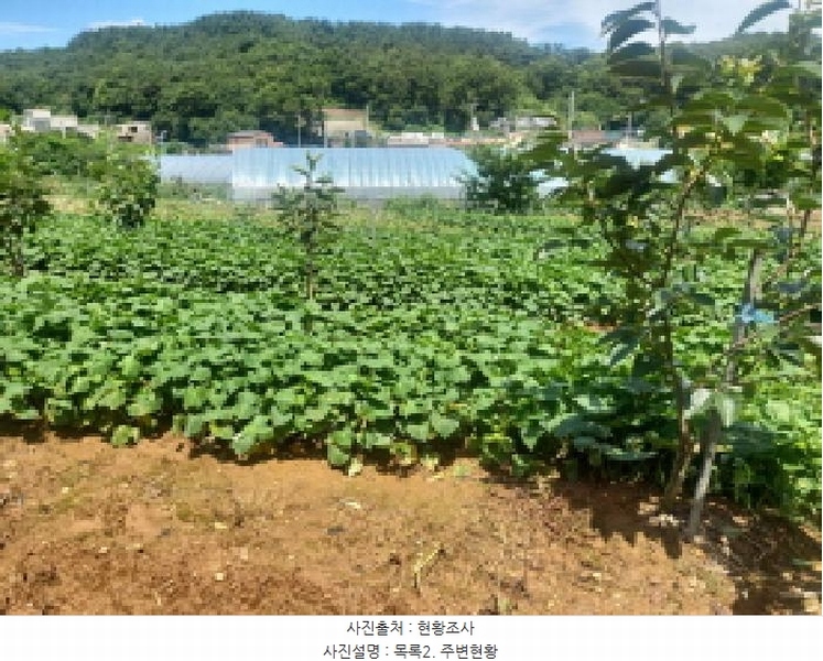 2025타경510444 인천광역시 옹진군 영흥면 내리 1070-1 농지 경매 이미지