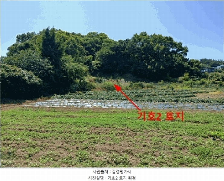 2025타경510444 인천광역시 옹진군 영흥면 내리 1070-1 농지 경매 이미지