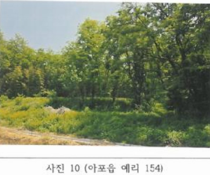 2025타경347 경상북도 김천시 아포읍 예리 154 농지 경매 이미지