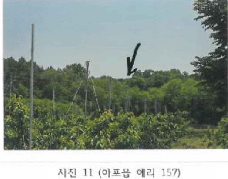 2025타경347 경상북도 김천시 아포읍 예리 154 농지 경매 이미지