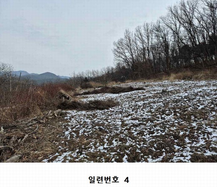 2025타경10361 경상북도 구미시 도개면 동산리 579 농지 경매 이미지