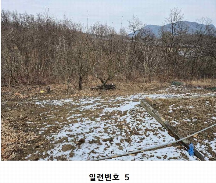 2025타경10361 경상북도 구미시 도개면 동산리 579 농지 경매 이미지