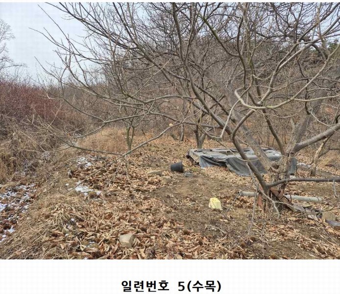 2025타경10361 경상북도 구미시 도개면 동산리 579 농지 경매 이미지