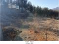 2024타경6110 경기도 남양주시 수동면 내방리 7-3 임야 경매 이미지