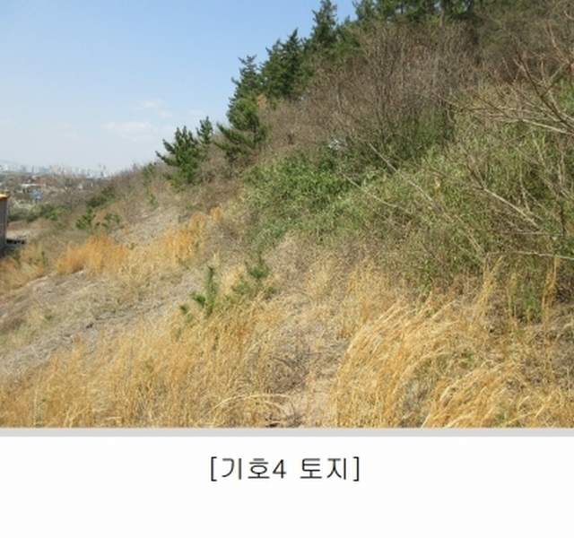 2025타경1199 광주광역시 서구 벽진동 480-26 창고 경매 이미지