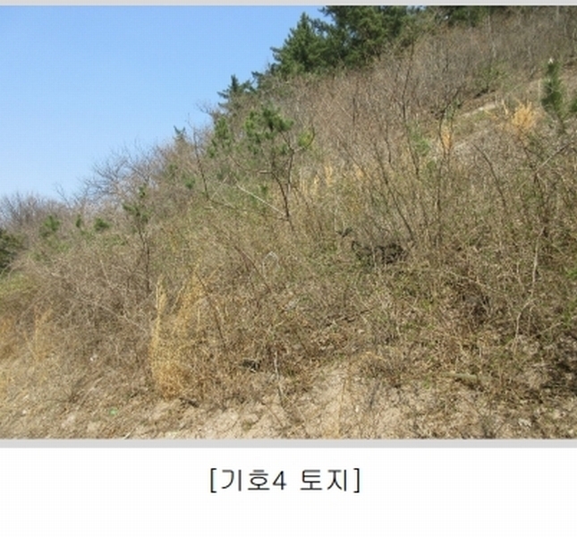 2025타경1199 광주광역시 서구 벽진동 480-26 창고 경매 이미지