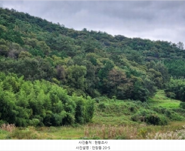 2025타경6095 전라남도 나주시 안창동 20-5 농지 경매 이미지