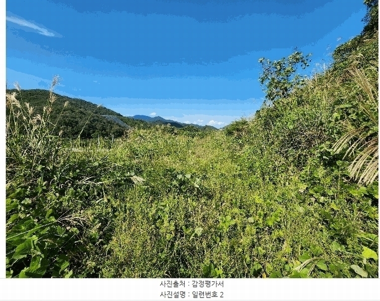 2025타경33884 전라남도 화순군 동면 복암리 461-7 농지 경매 이미지