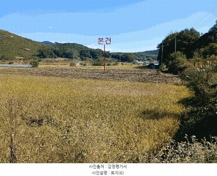 2025타경34073 전라남도 담양군 월산면 월평리 12-3 농지 경매 이미지