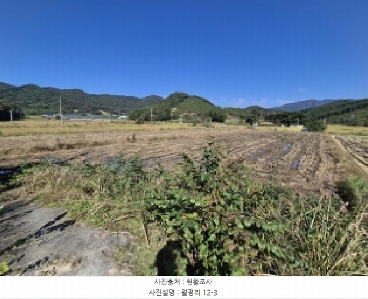 2025타경34073 전라남도 담양군 월산면 월평리 12-3 농지 경매 이미지