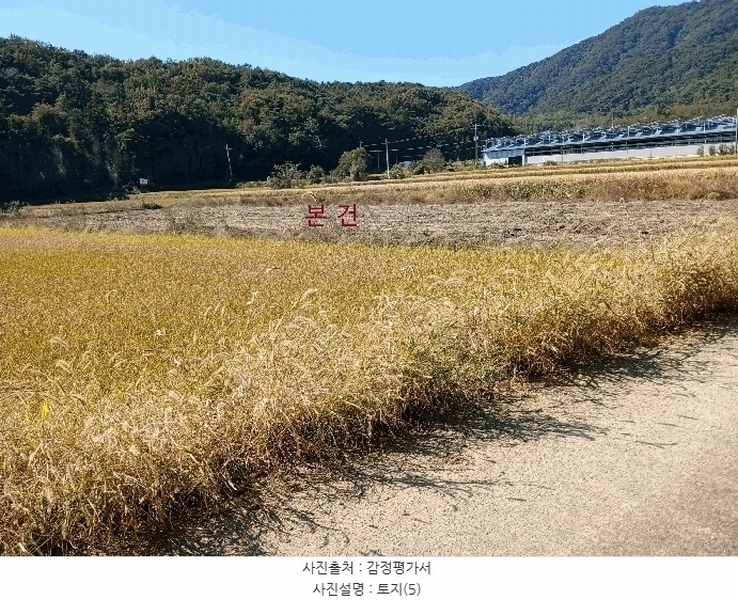 2025타경34073 전라남도 담양군 월산면 월평리 3-6 농지 경매 이미지