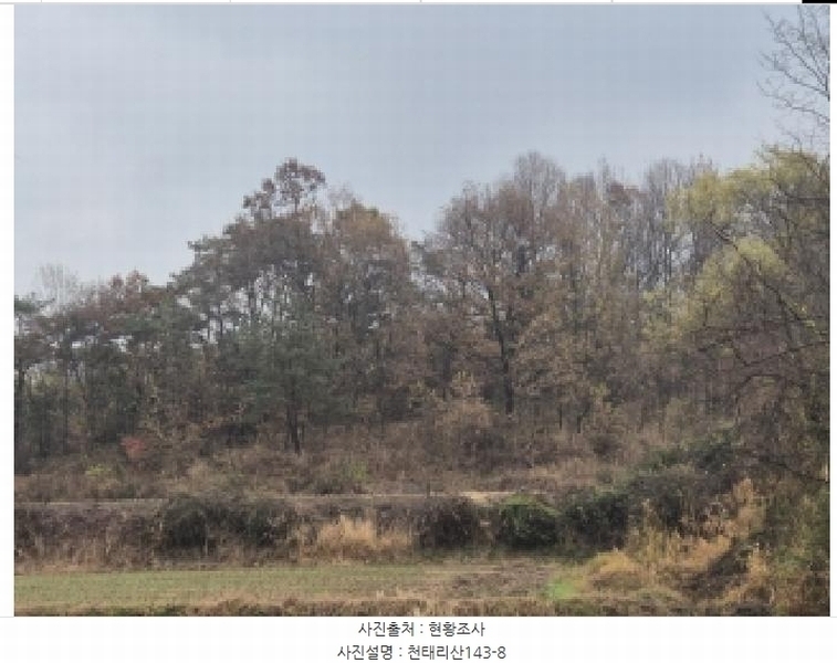 2025타경34419 전라남도 화순군 도암면 천태리 692-1 농지 경매 이미지