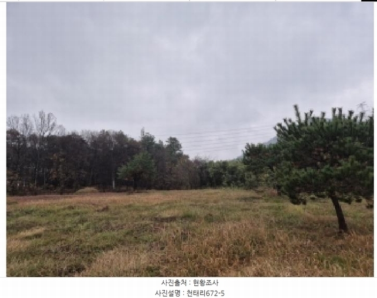 2025타경34419 전라남도 화순군 도암면 천태리 692-1 농지 경매 이미지