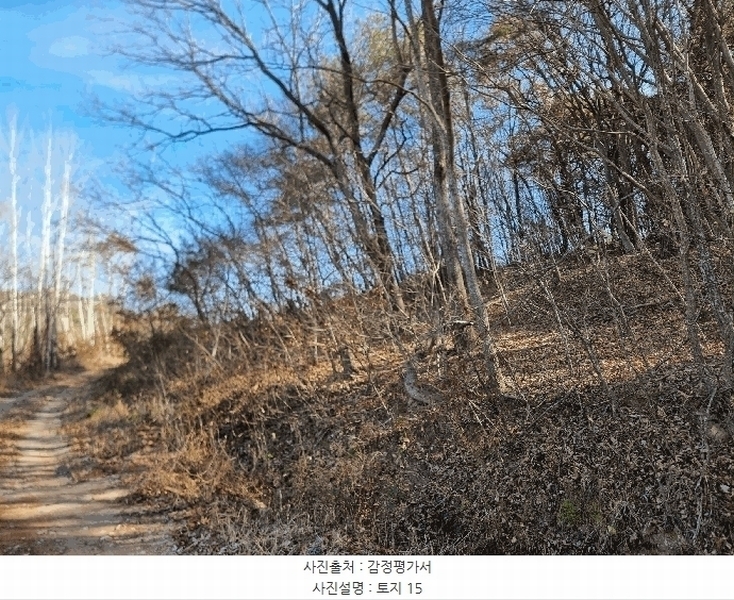 2025타경34419 전라남도 화순군 도암면 천태리 692-1 농지 경매 이미지