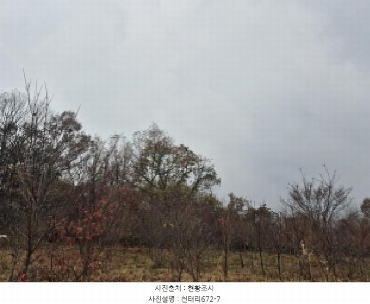 2025타경34419 전라남도 화순군 도암면 천태리 692-1 농지 경매 이미지
