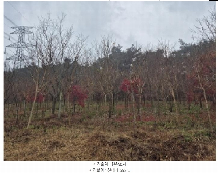 2025타경34419 전라남도 화순군 도암면 천태리 692-1 농지 경매 이미지