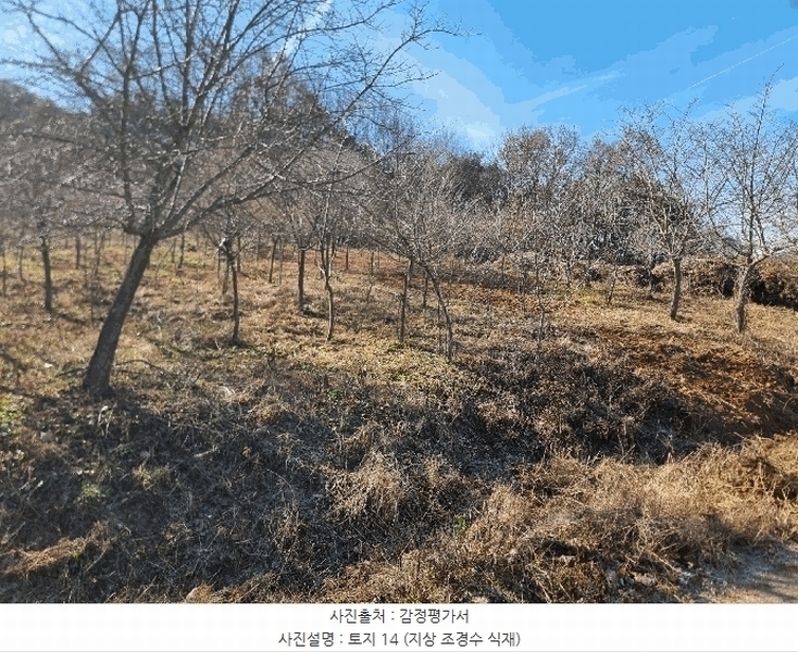 2025타경34419 전라남도 화순군 도암면 천태리 692-1 농지 경매 이미지