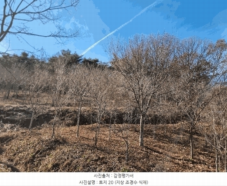 2025타경34419 전라남도 화순군 도암면 천태리 692-1 농지 경매 이미지