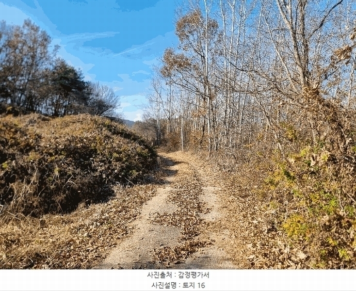 2025타경34419 전라남도 화순군 도암면 천태리 692-1 농지 경매 이미지
