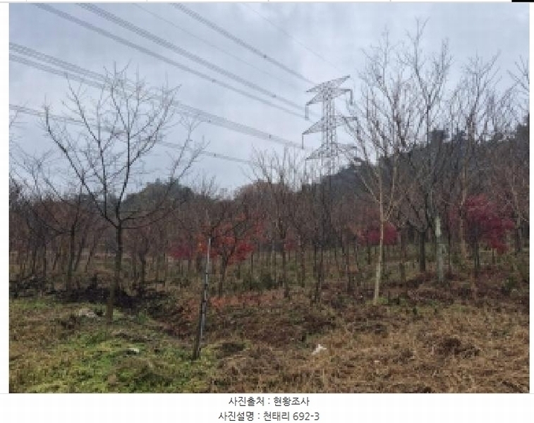 2025타경34419 전라남도 화순군 도암면 천태리 692-1 농지 경매 이미지