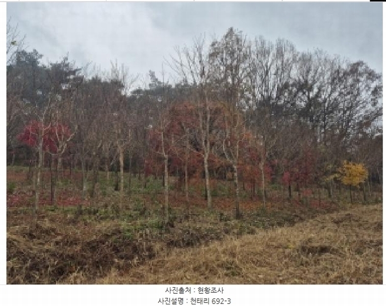 2025타경34419 전라남도 화순군 도암면 천태리 692-1 농지 경매 이미지