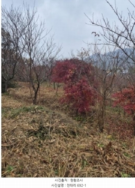 2025타경34419 전라남도 화순군 도암면 천태리 692-1 농지 경매 이미지