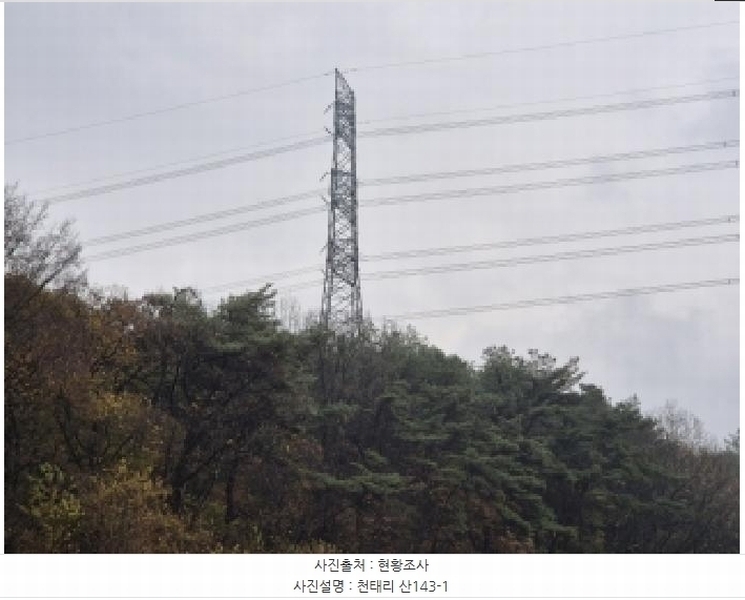 2025타경34419 전라남도 화순군 도암면 천태리 산143-1 임야 경매 이미지