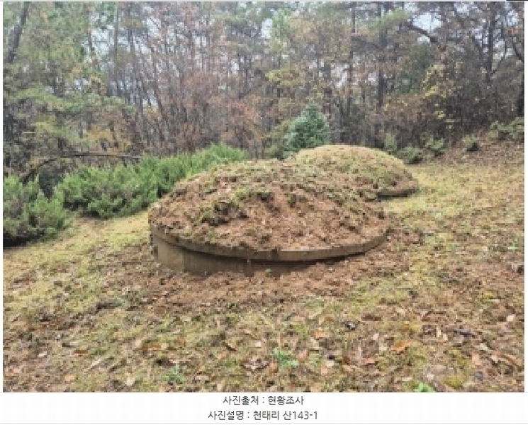 2025타경34419 전라남도 화순군 도암면 천태리 산143-1 임야 경매 이미지