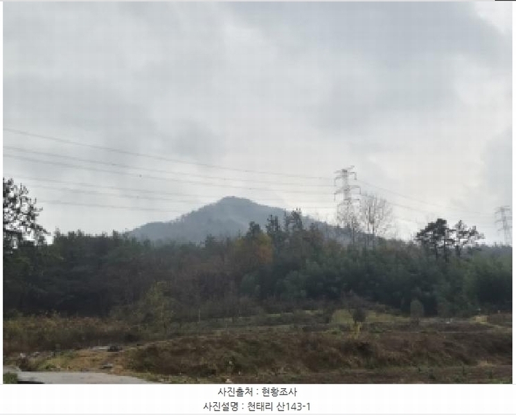 2025타경34419 전라남도 화순군 도암면 천태리 산143-1 임야 경매 이미지
