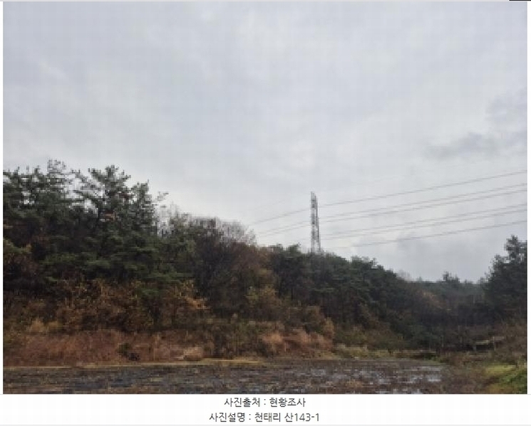 2025타경34419 전라남도 화순군 도암면 천태리 산143-1 임야 경매 이미지