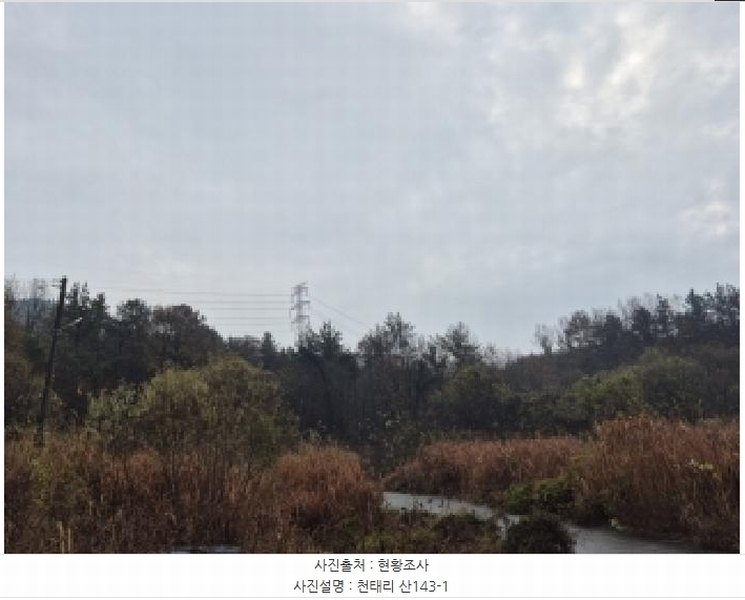 2025타경34419 전라남도 화순군 도암면 천태리 산143-1 임야 경매 이미지