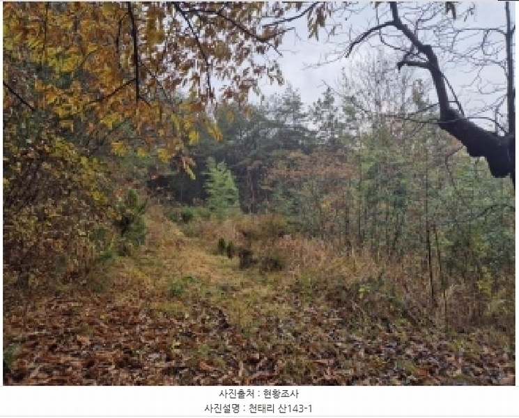 2025타경34419 전라남도 화순군 도암면 천태리 산143-1 임야 경매 이미지
