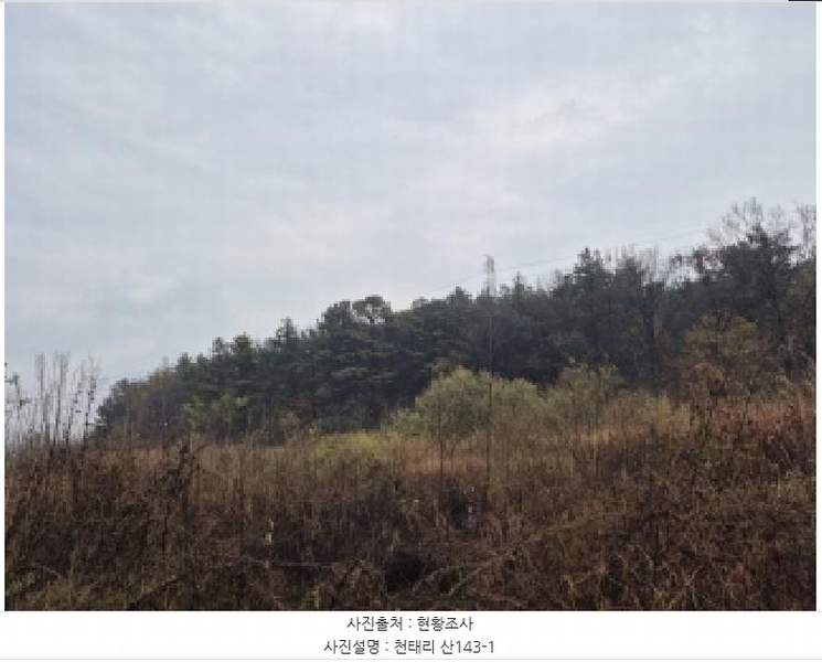 2025타경34419 전라남도 화순군 도암면 천태리 산143-1 임야 경매 이미지
