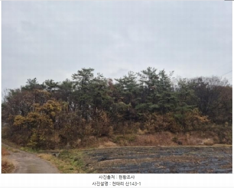 2025타경34419 전라남도 화순군 도암면 천태리 산143-1 임야 경매 이미지