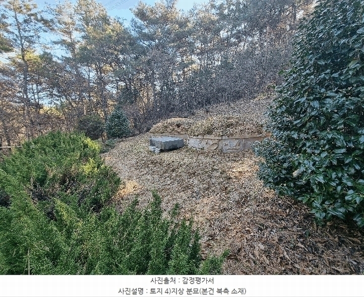 2025타경34419 전라남도 화순군 도암면 천태리 산143-1 임야 경매 이미지